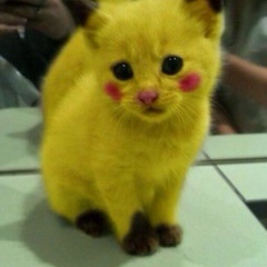 Алечка Петрова, 02.04, München