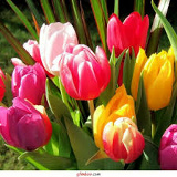 Турсун Шулгаубаева, 28.02, Актобе