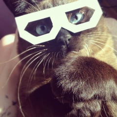 Даниил Картохин, 24.12, Berlin