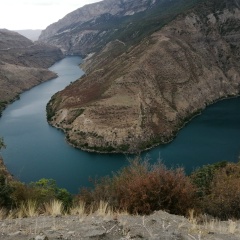 Денис Д, 15.05, Санкт-Петербург