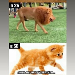 Maxim Bruevich, 09.03, Санкт-Петербург