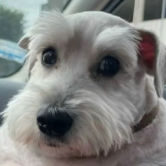 Сергей Шубин, 13.09.1991, Тверь