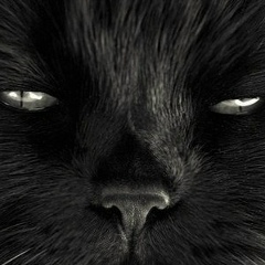 Максим Рогоза, 26.06.1985, Москва