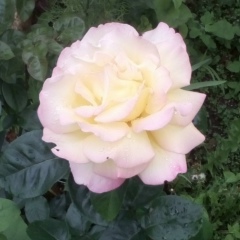 Татьяна Кузьменко, 28.09