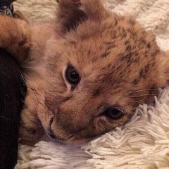 Юрий Даценко, 05.01.1995, Москва