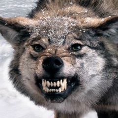 Ярослав Гончаров, 04.06.1993, Сумы