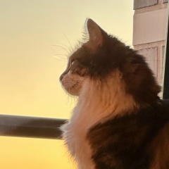 Даша Ведунова, Сочи