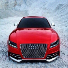 Андрей Зубарев