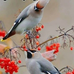 Арайлым Зеитова, 21.02.1989, Санкт-Петербург