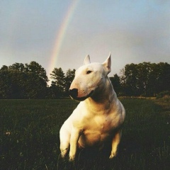 Герман Калюжный, 27.10, New York City