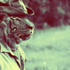 Николай Нагачвеский, 25.11