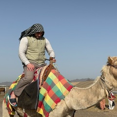 Шамиль Магомедов, Санкт-Петербург
