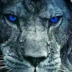 Булат Ибрагимов