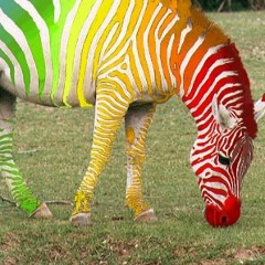 Мария Домницкая, 10.03, Москва