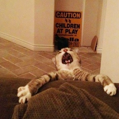 Виктор Прудников, 24.04.1984, Санкт-Петербург