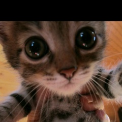 Владимир Черский, 05.09.1986, Москва