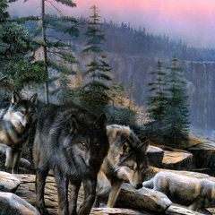 Аслан Цукаев, 11.11.1996, Ачхой-Мартан