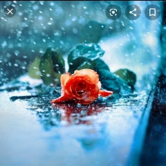 Валерия Голуженко, 28.12, Усть-Каменогорск