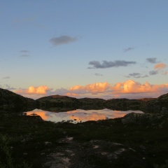 Никита Панченко, 22.01