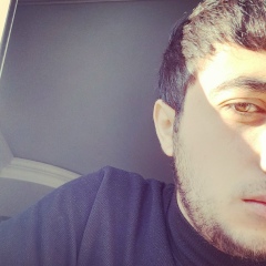 Senan Namazov, Шамкир