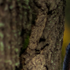 Мария Чубченко, 01.08.1989, Нижний Новгород