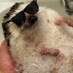 Смышленый Мальчуган, 15.03, Нижний Новгород