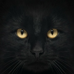 Михаил Караваев, 11.02.1985, Киров