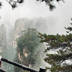 Чойгана Шивидек, Кызыл