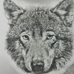 Снежана Бродская, 30.12, Киев