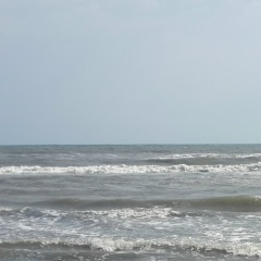 Самир Самедов, 02.08.1994, Санкт-Петербург