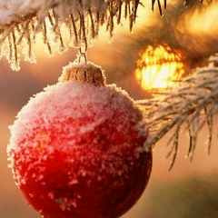 Оксана Редникова, 29.11.1987