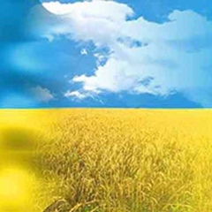 Сергей Кучма, 28.03, Обухов