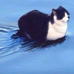 Александр Мельников, 29.05.1988, Новосибирск