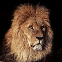 Антон Скляров, 10.08, Санкт-Петербург