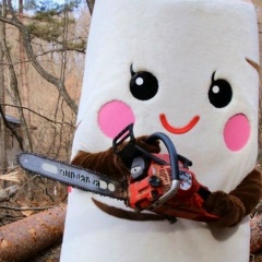 Ольга Паня, Санкт-Петербург