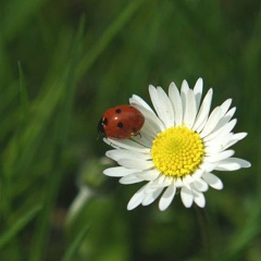 Мария Гилина, 20.08, Санкт-Петербург