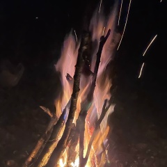 Олег Олег, Пушкино