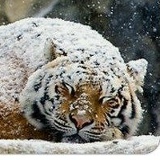 Павел Морозов, 02.11