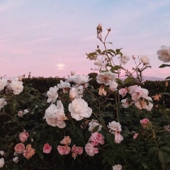 Мика Шакимова, 01.10.1995, Костанай