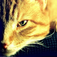 Ринат Бердашев, 09.09, Уральск