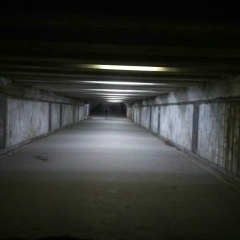 Андрей Голиков, Тула