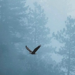 Abdullah Dudaev, 14.04.1923, Грозный