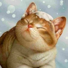 Екатерина Груздева, 27.02, Ростов-на-Дону