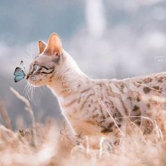 Anna Mordovtseva, 27.02, Санкт-Петербург