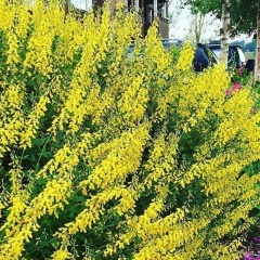 Марианна Морару, 20.07, Санкт-Петербург