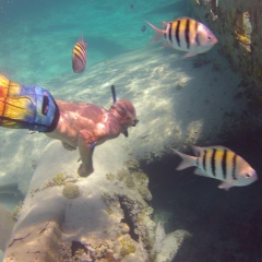 Marky Mark, St. Thomas