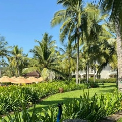 Мария Думанская