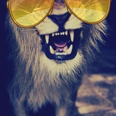 Zhanibek Smagulov, 04.08