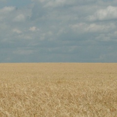 Марія Прокіпець, 28.07, Киев