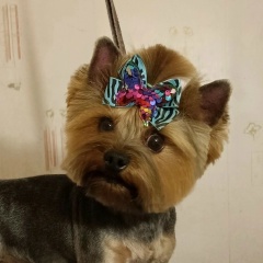 Любовь Иванова, 06.10, Волхов (поселок)